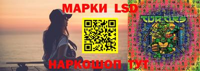 СК Дубна