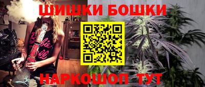 СК Дубна