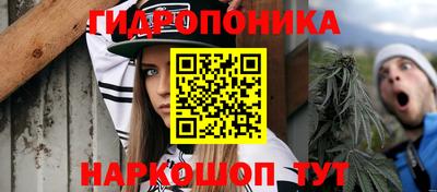 дмт Гусев