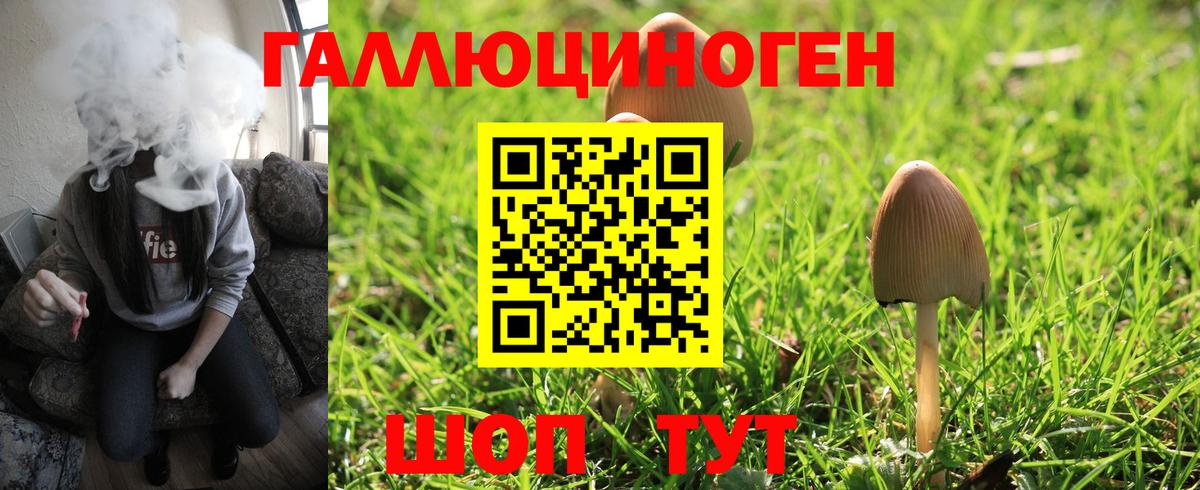 Псилоцибиновые грибы Cubensis  Вход с VPN  Псилоцибиновые грибы прущие грибы  Нефтекумск 