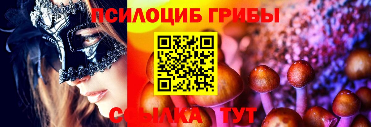 Галлюциногенные грибы Cubensis Нефтекумск